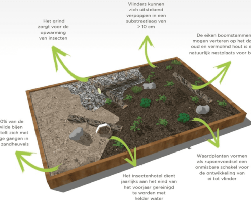 Biodiversiteit