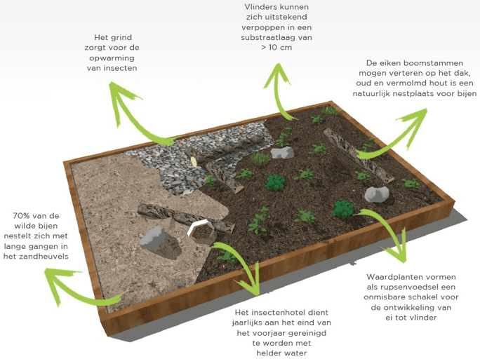 Biodiversiteit