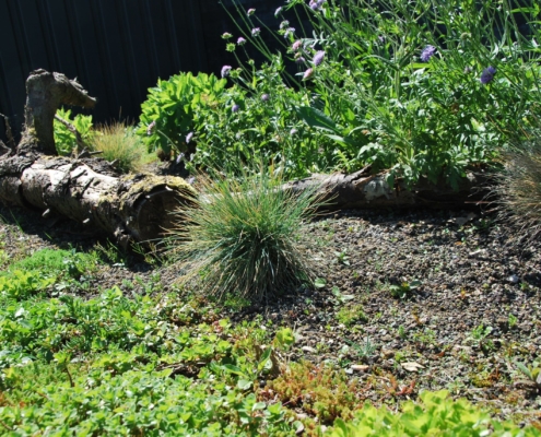 Biodiversity Package