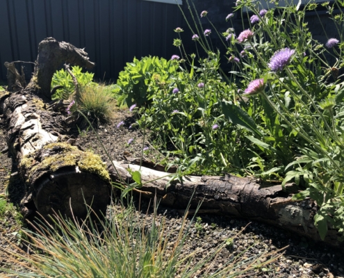 Biodiversity Package