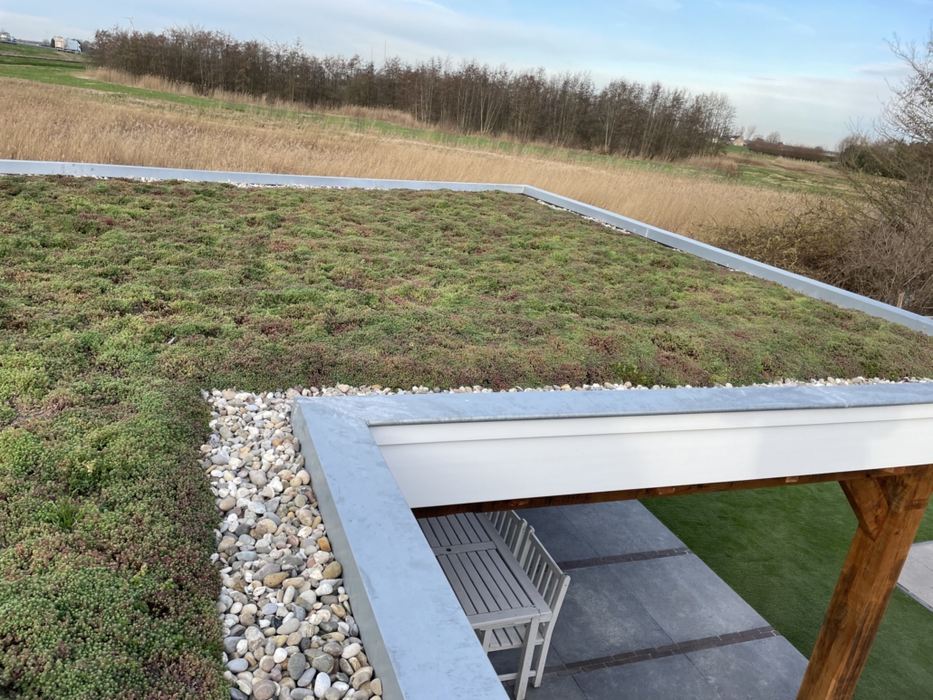 Overkapping met sedum
