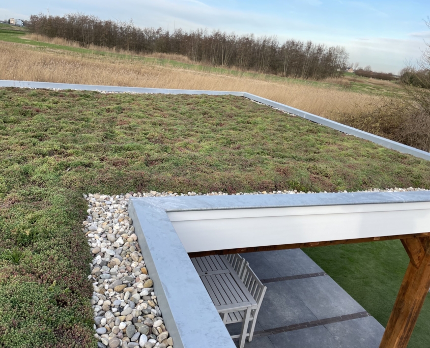 Overkapping met sedum